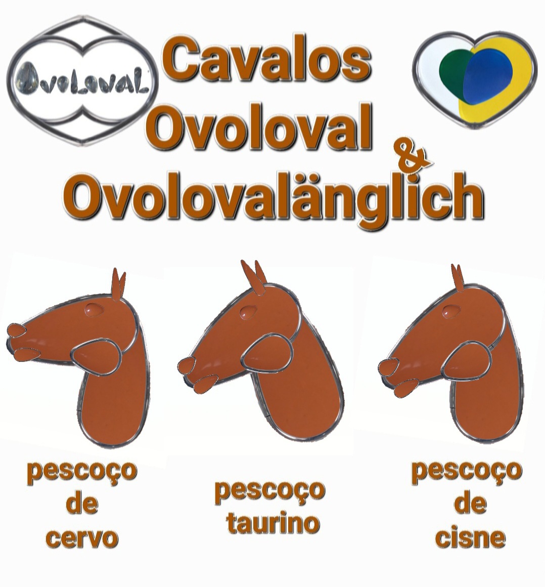 Ovoloval ©️ Ovoloval ©️